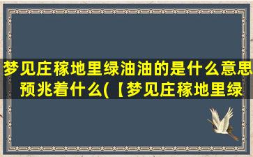 梦见庄稼地里绿油油的是什么意思 预兆着什么(【梦见庄稼地里绿油油的含义及预兆解析】)